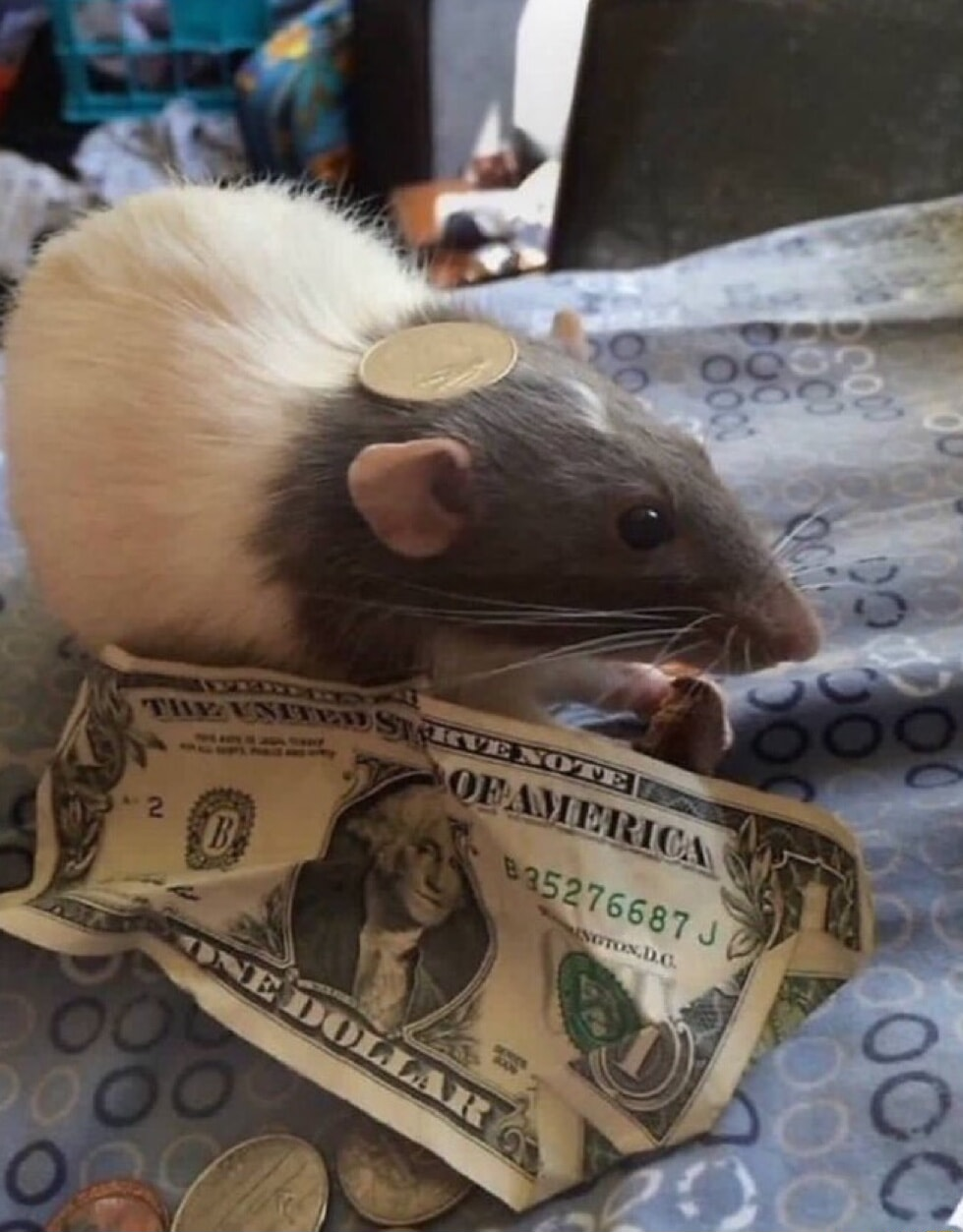 ​​​