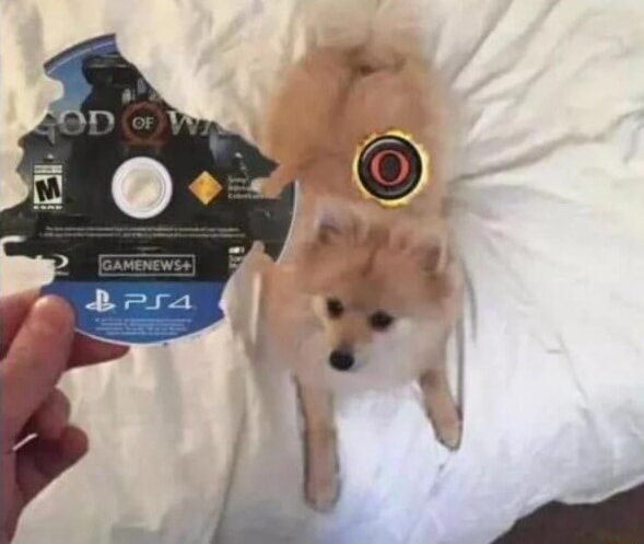 ​​​