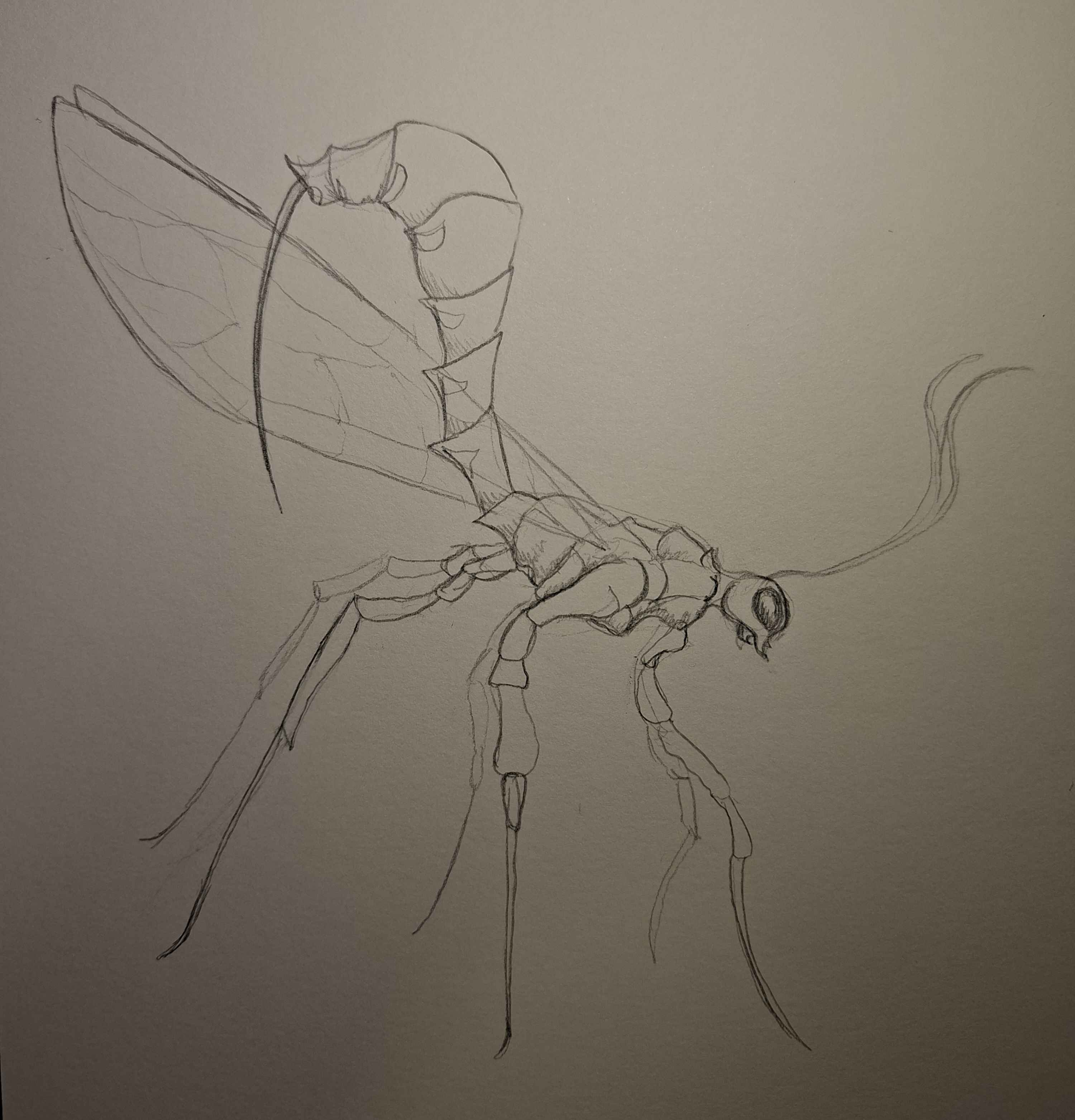 Inktober 11: Sting