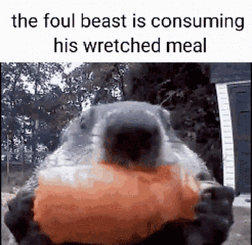 What wretched meals do y'all foul beasts consume on the reg?