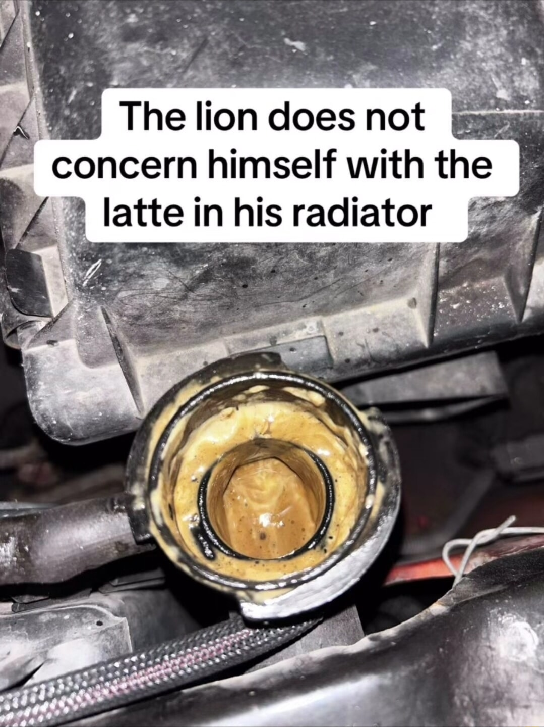 ​​​