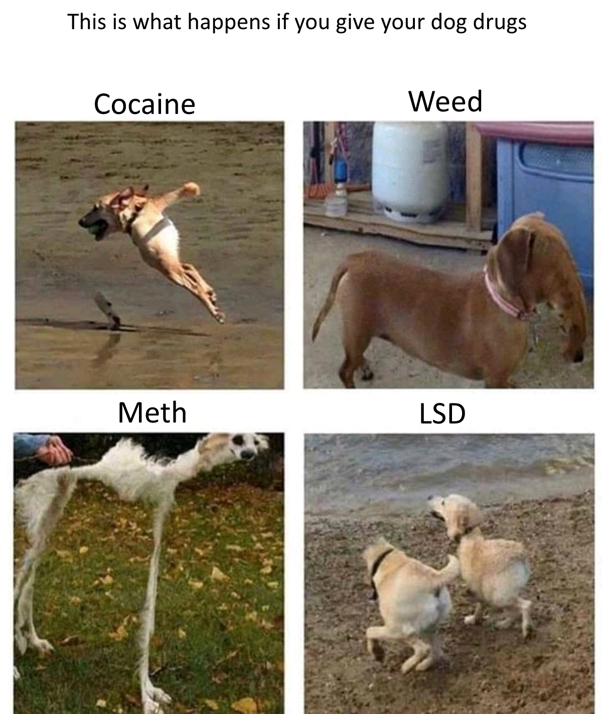 Not even once