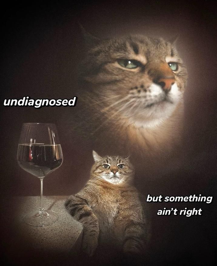 ​​​