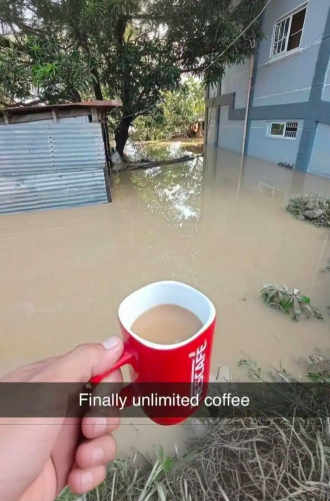 ​​​
