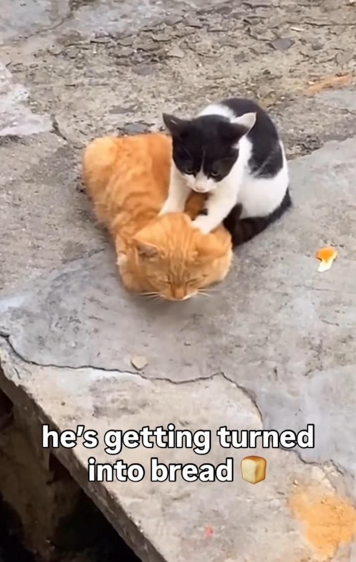 ​​​