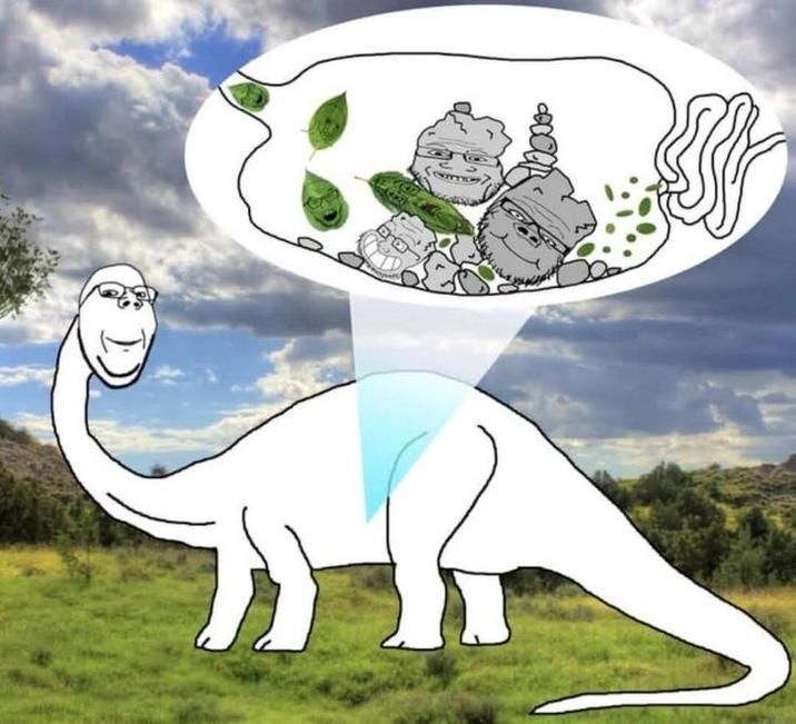 ​​​