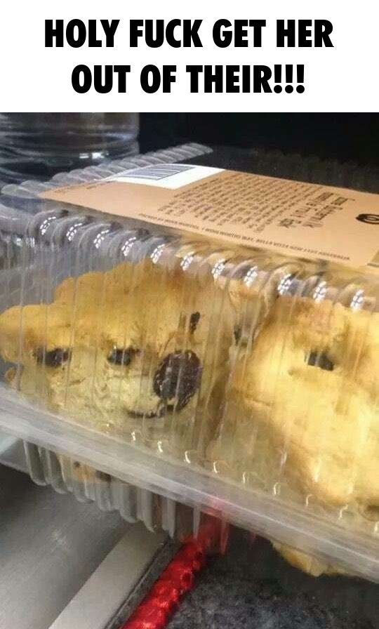 very muffin, such nutrition, wow!