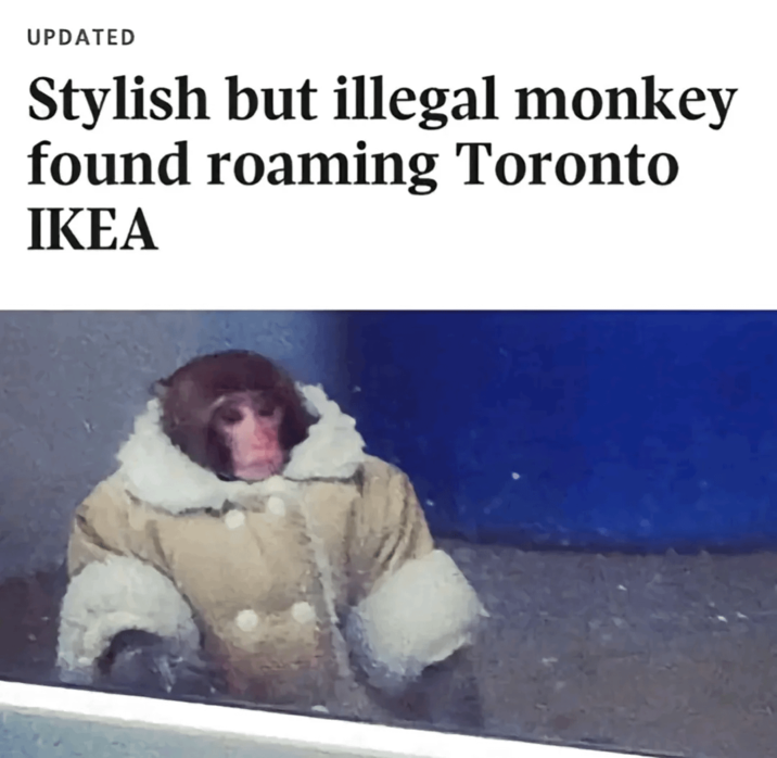​​​