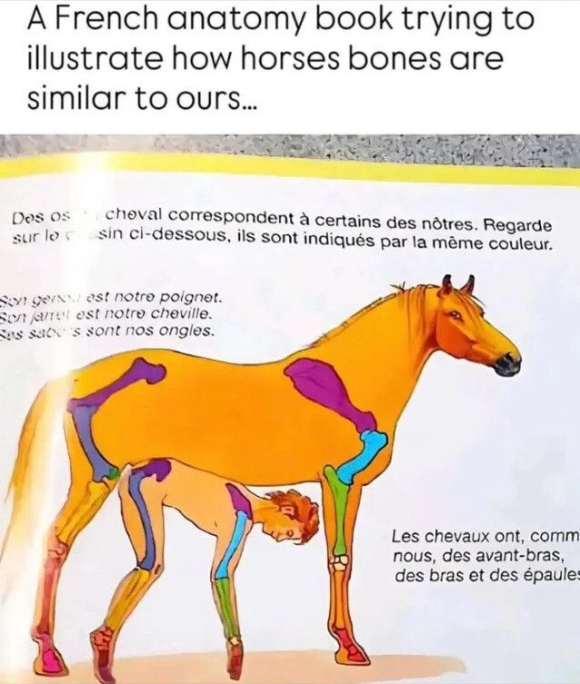 ​​​