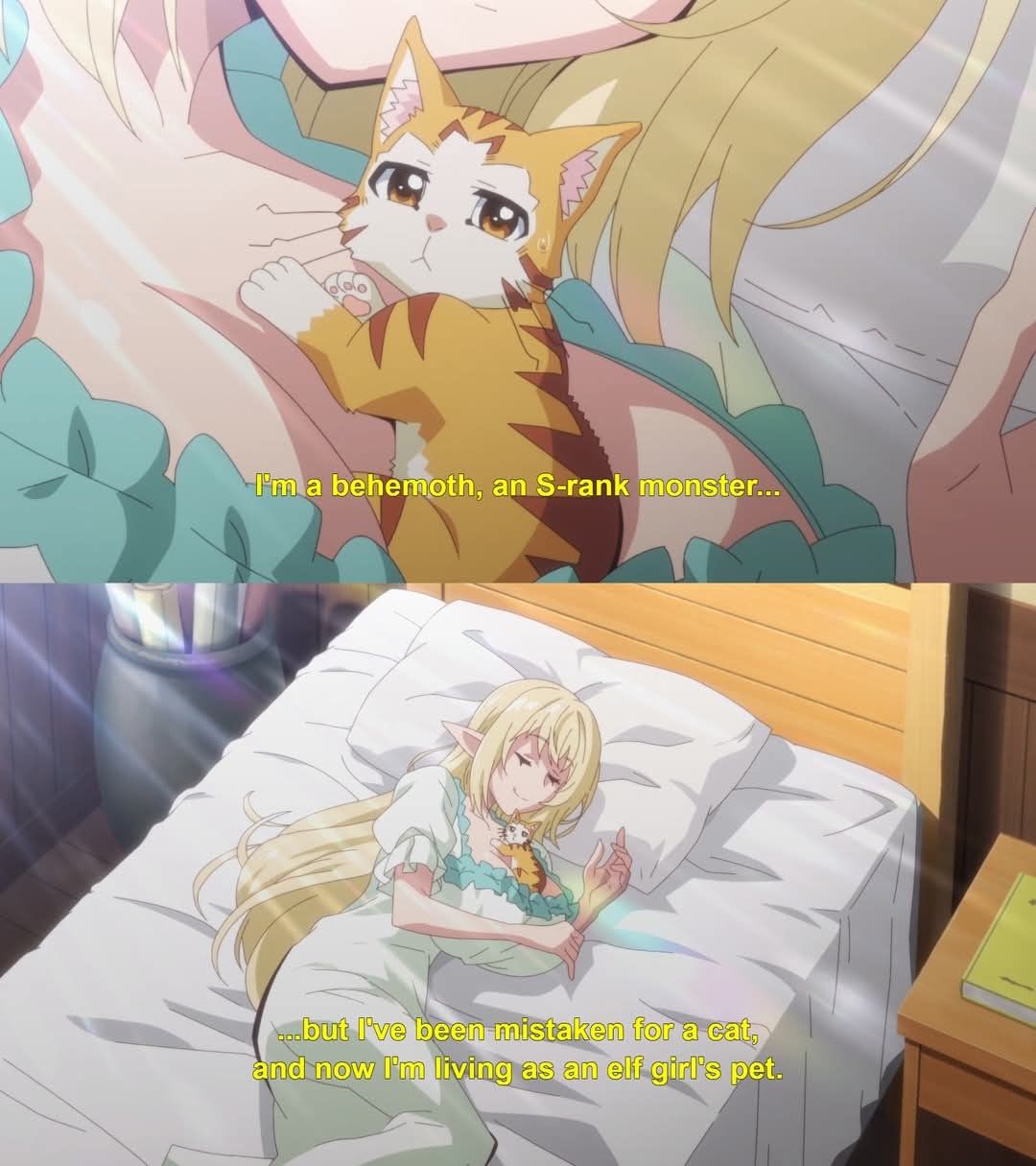 ​​​