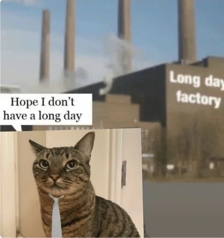 GM Hugelol!