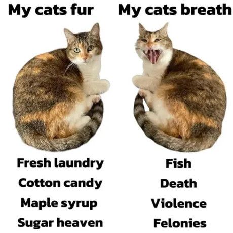 ​​​