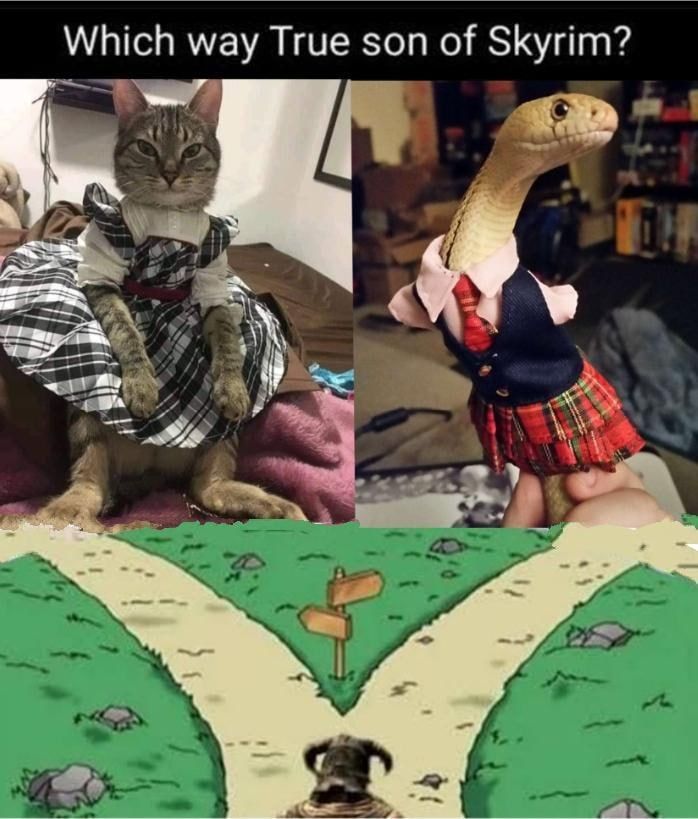 Argonians are lustier