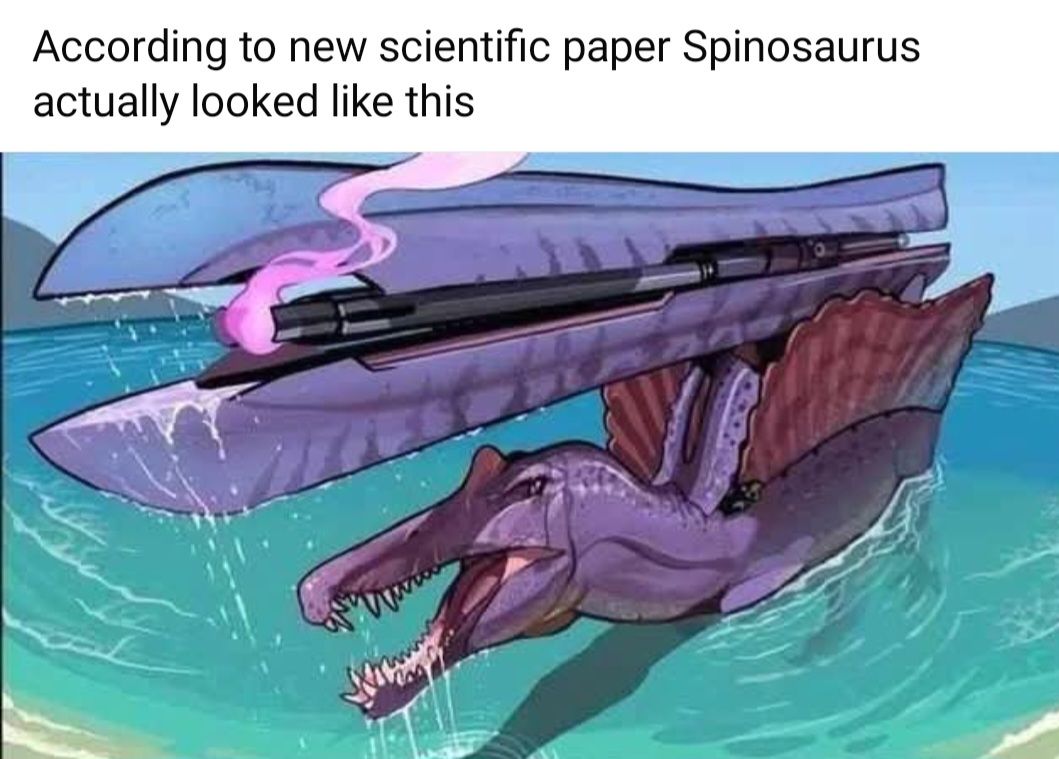 Evolutionary arms race