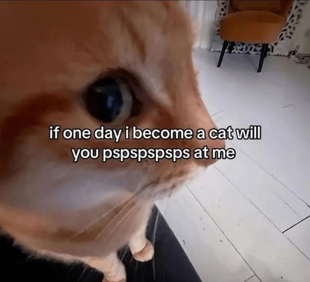 ​​​