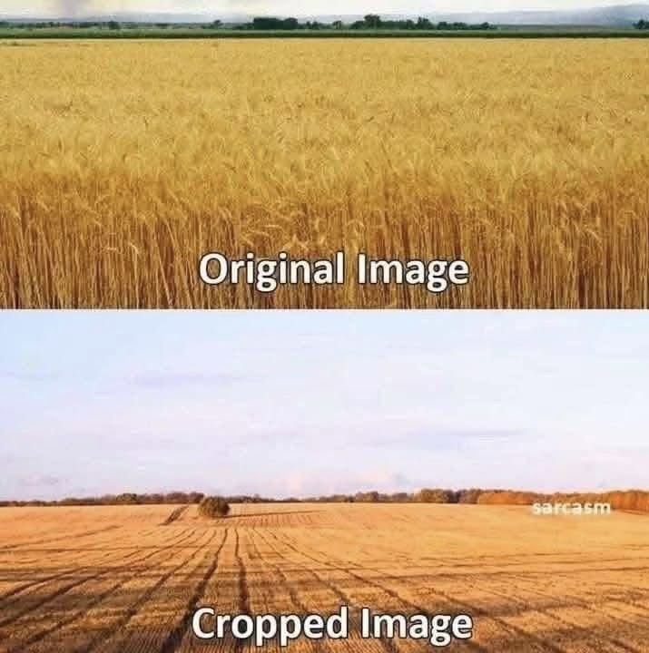***