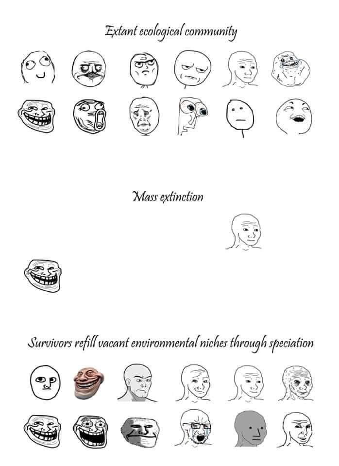 Mmm inbreeding
