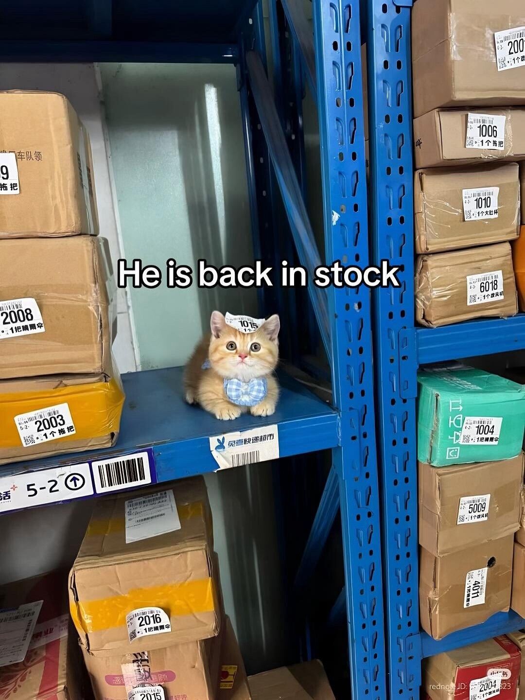 ​​​