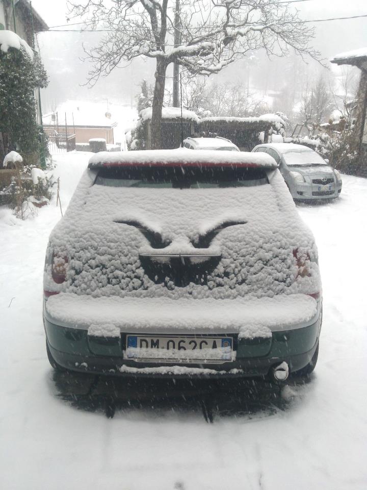 My car seems to enjoy the snow