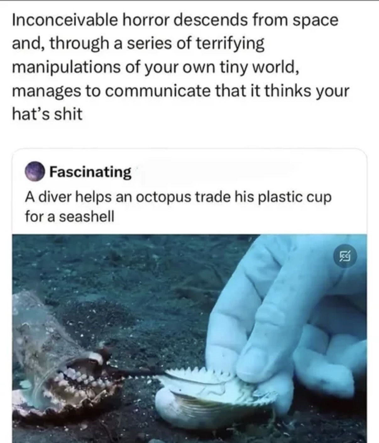 Horrors well within my comprehension