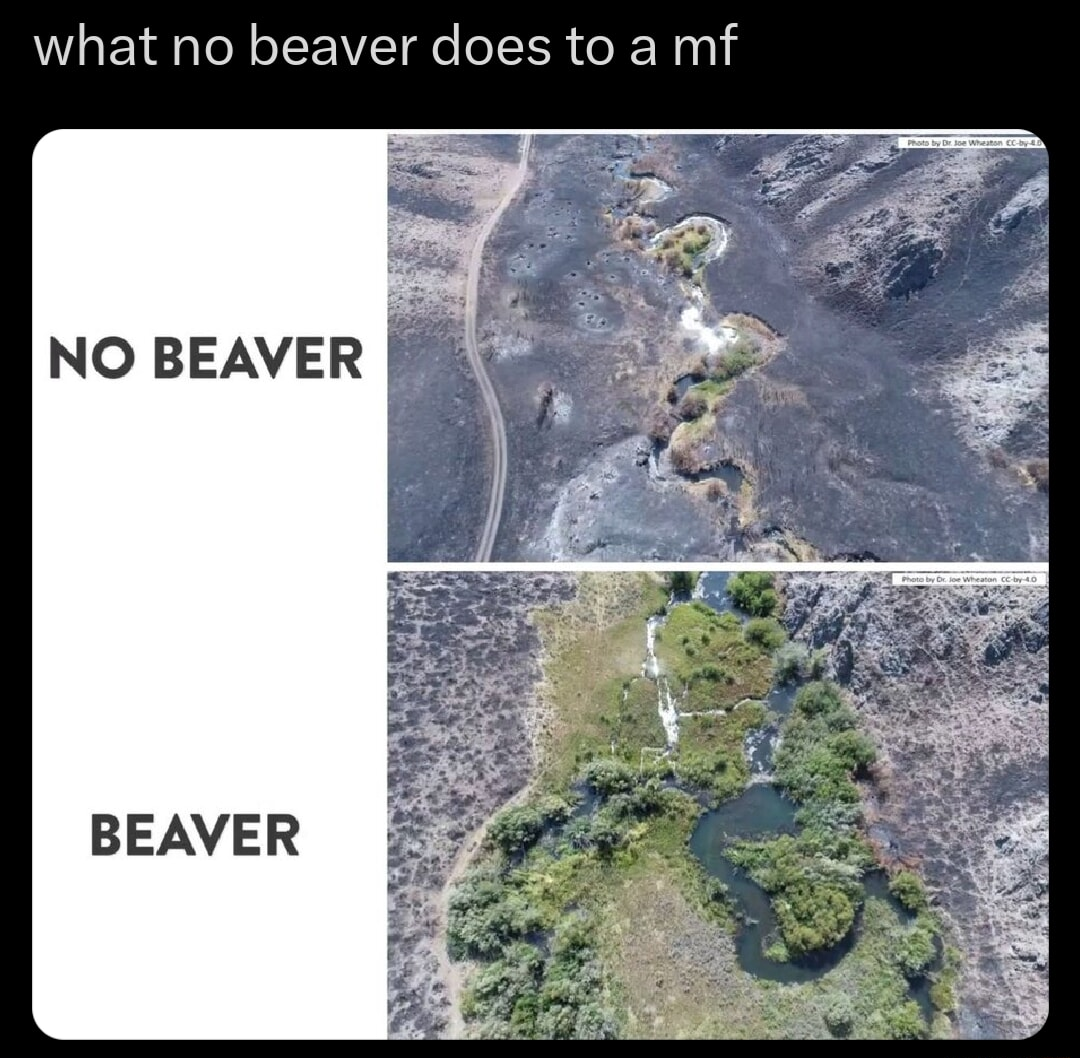 ​​​