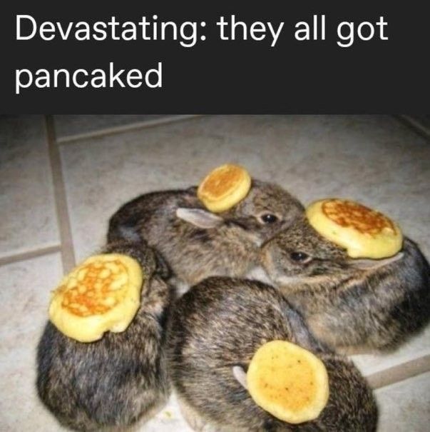 NOOOOOOOOOOOOOOOOOOOOOOOOOOOOOOOOOOOOOOOOOOOOOOOOO