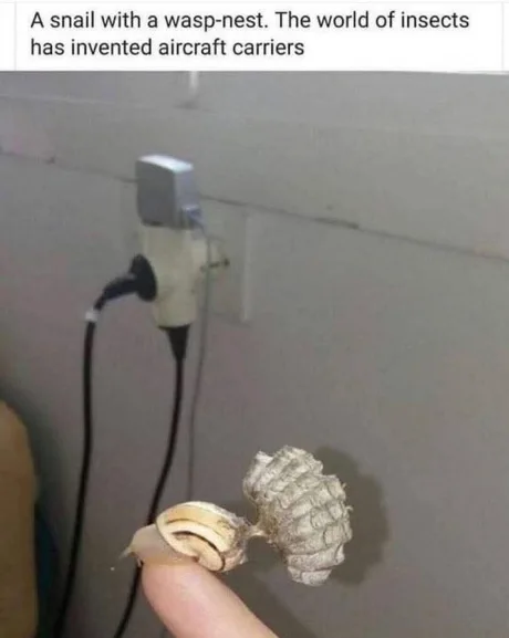 He is evolving