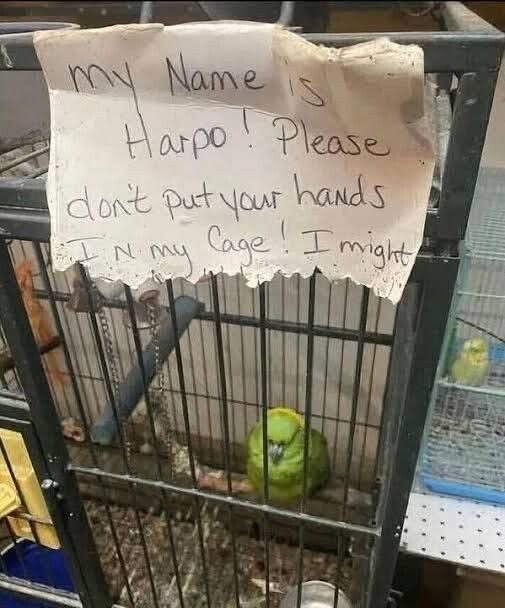 He might