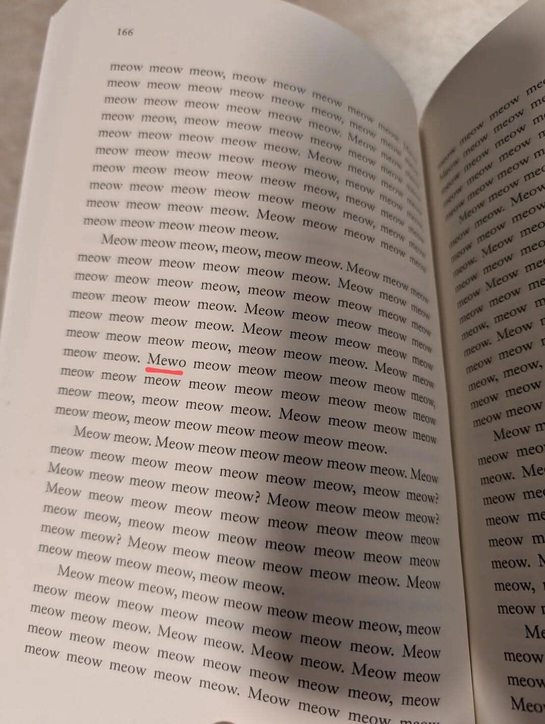 Those cats are up to something