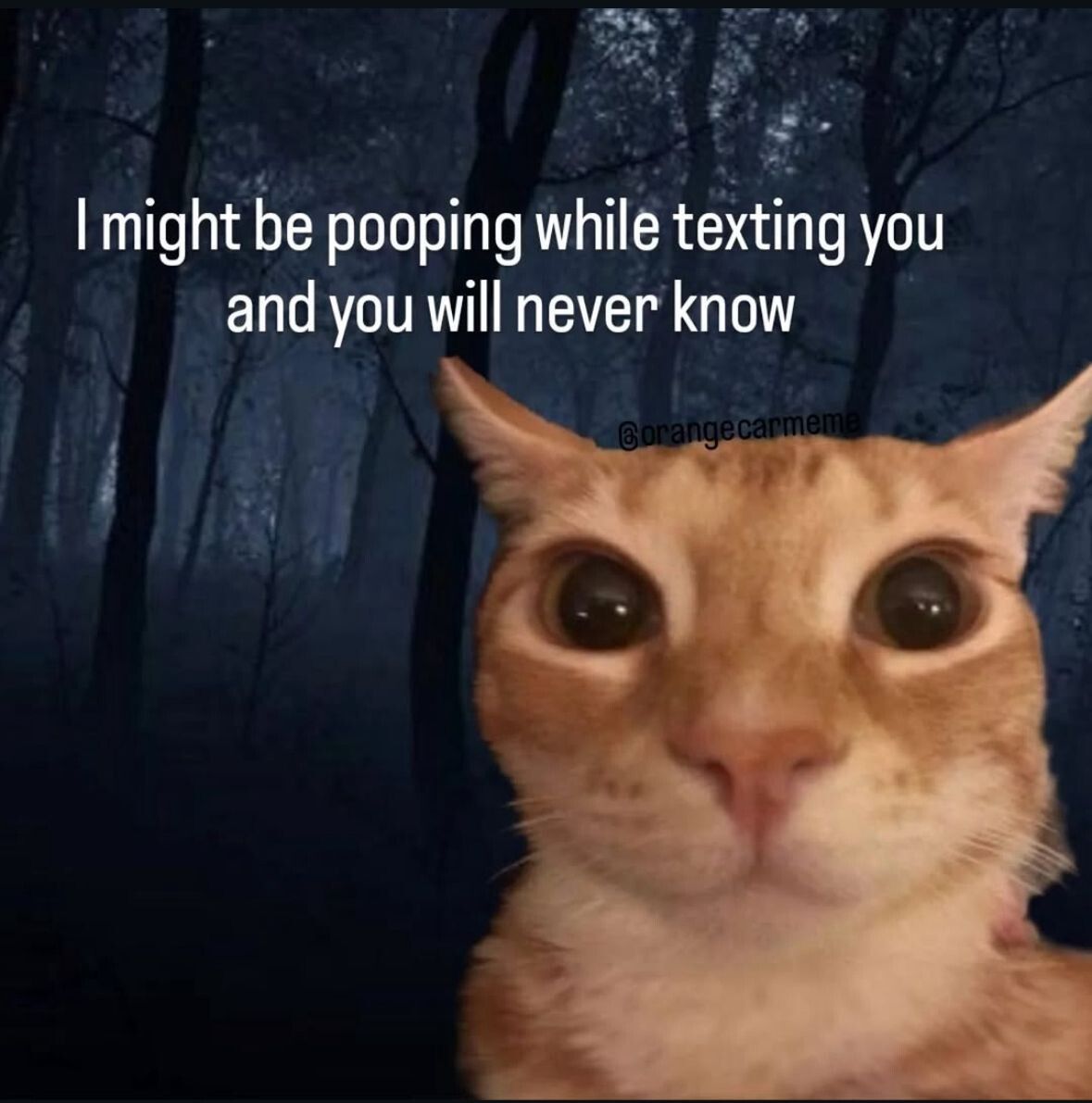 It's called shitposting for a reason