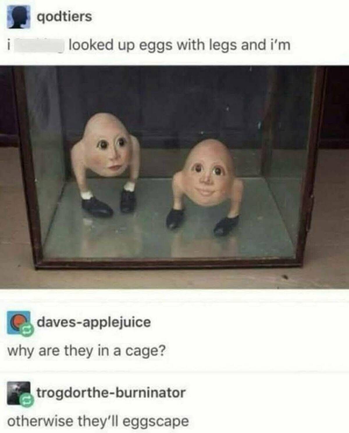 EGG