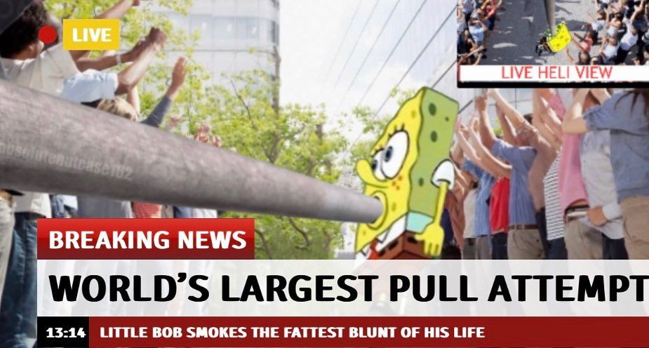 SPONGEBOB NO, ITS TOO DANGEROUS