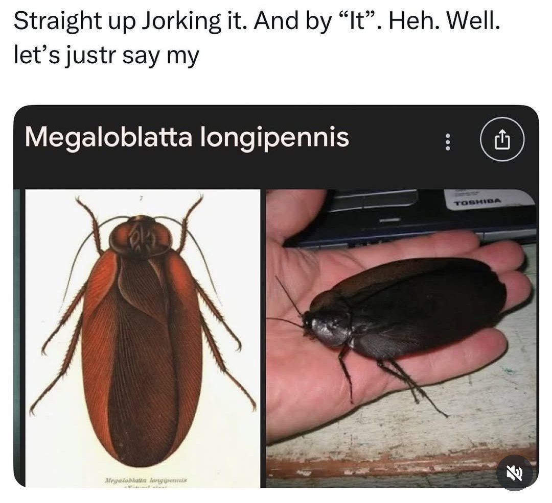 Heh, well, it's a really tiny hand