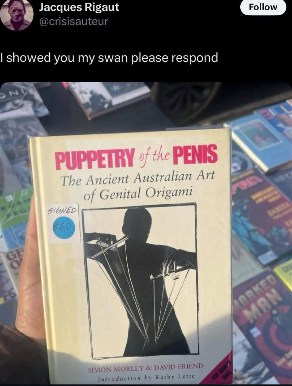 Waiting for sonichus poodle