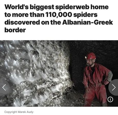 The home of Spiders Georg