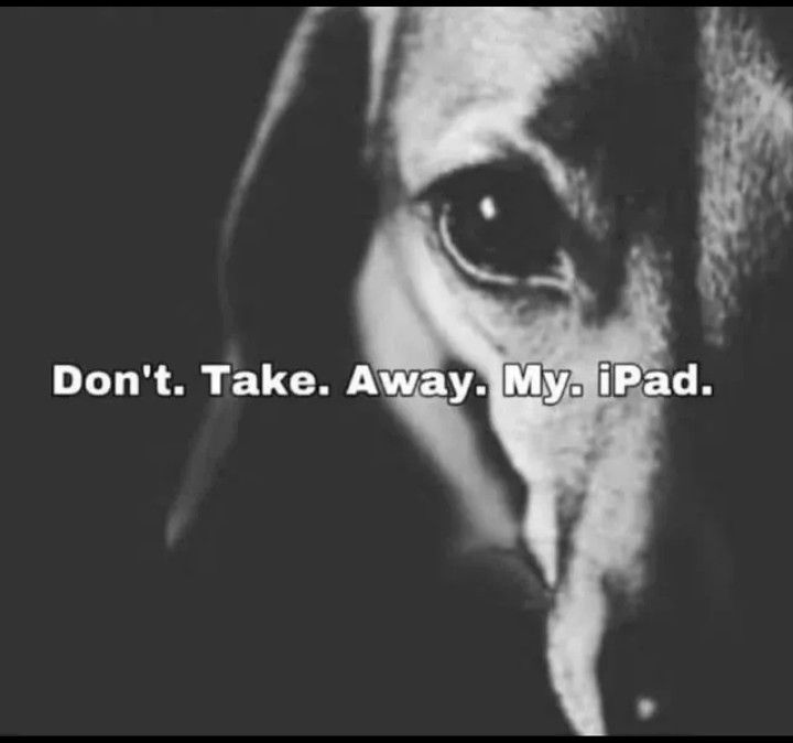 *autistic screeching*