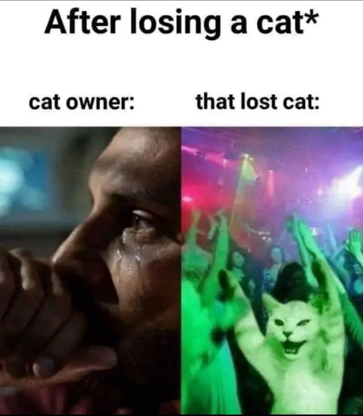 Dudders having the time of his life