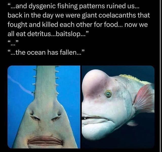 It doesn't get any lower