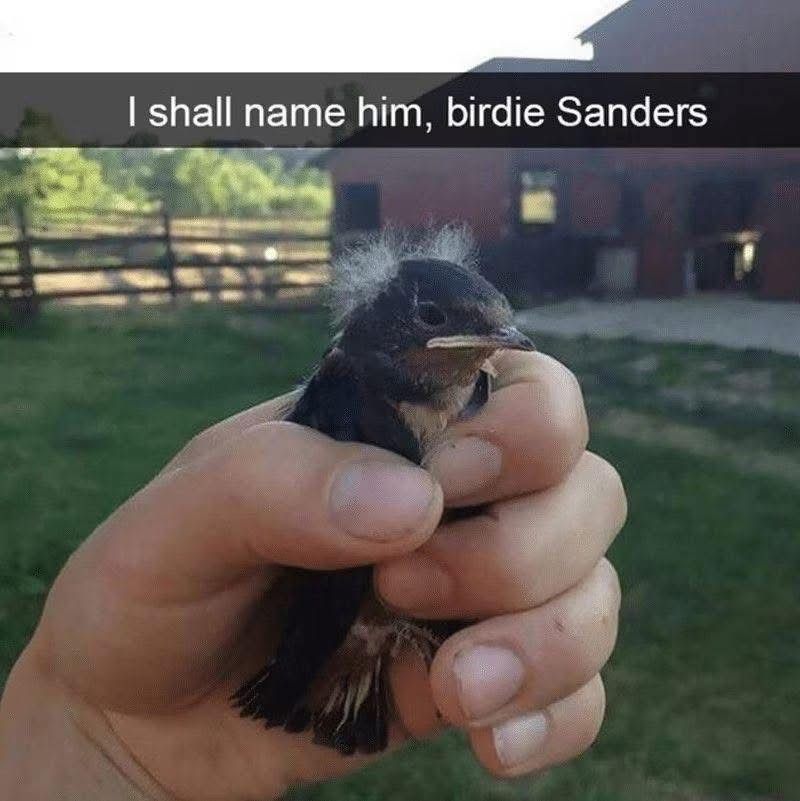 I'm once again asking you for your dopamine