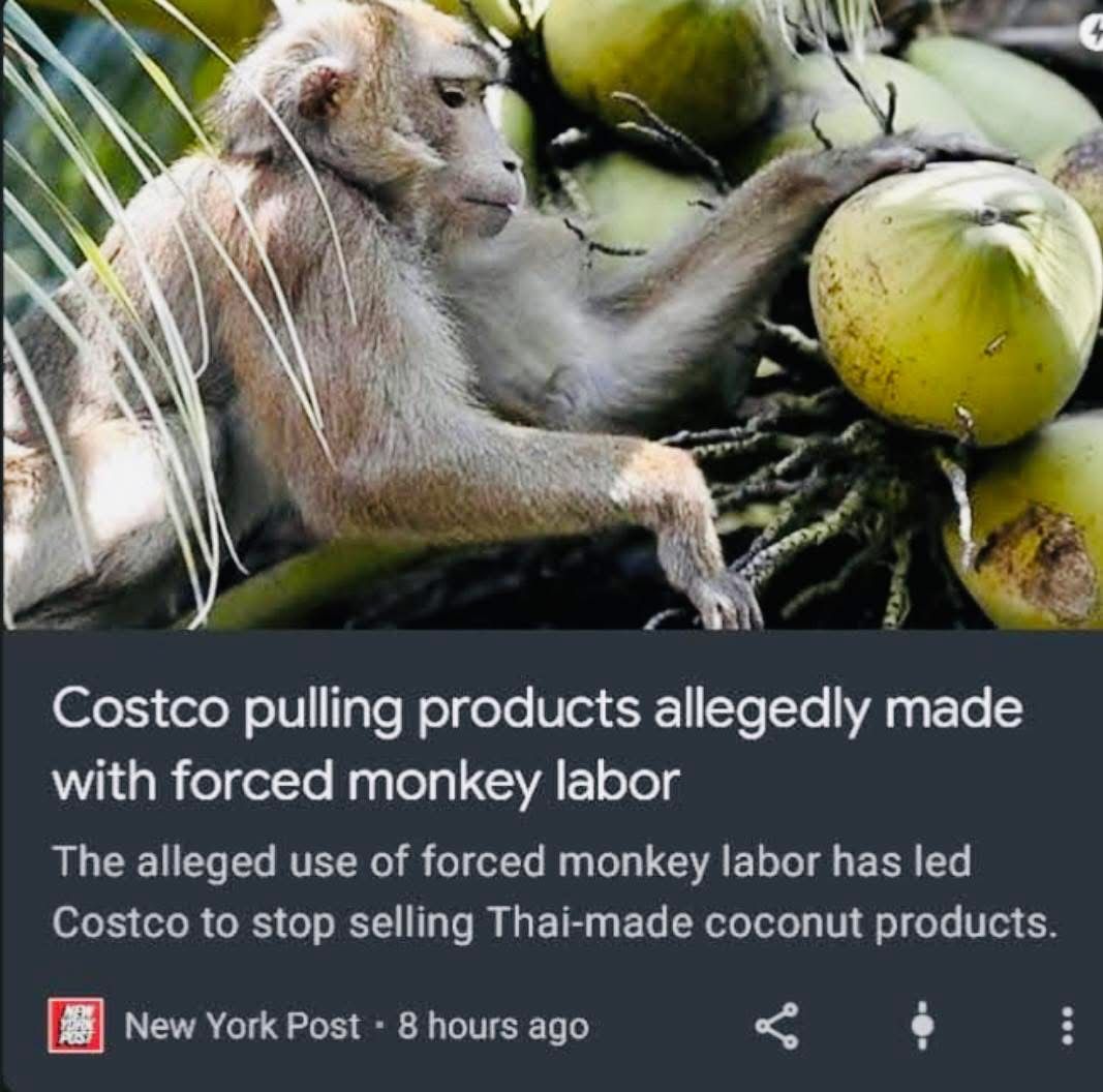 Late stage capitalism