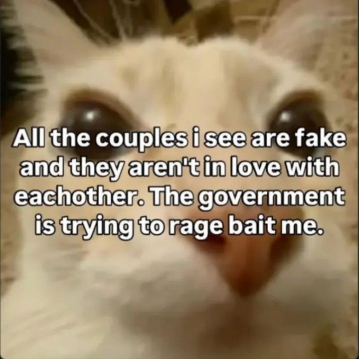 Any woman that shows interest in you is an agent of the deepstate