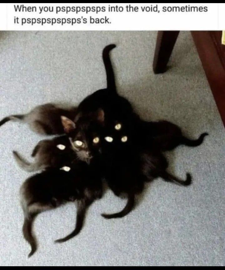 Hollow Knight reference