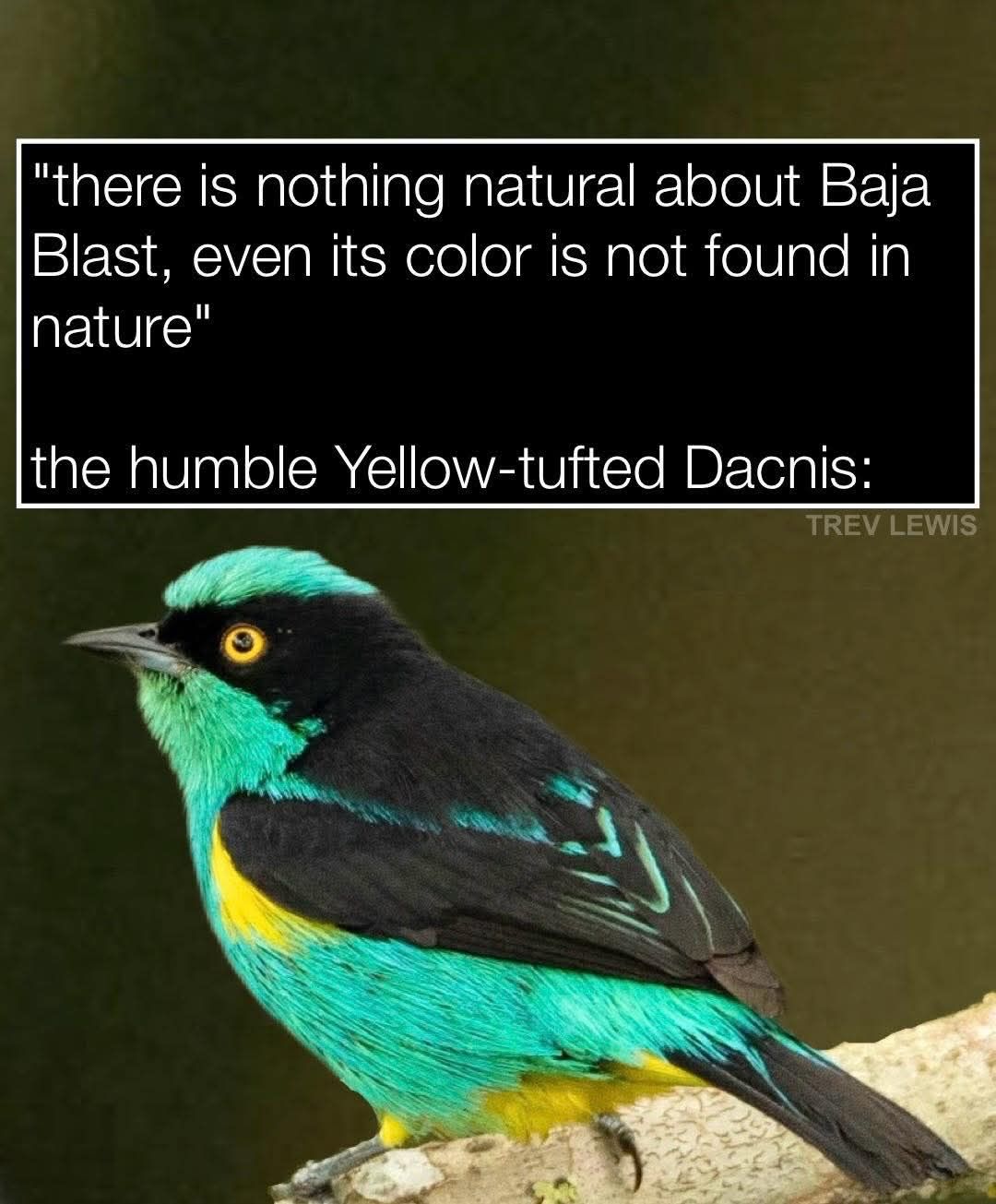 Still not drinking anything that glows