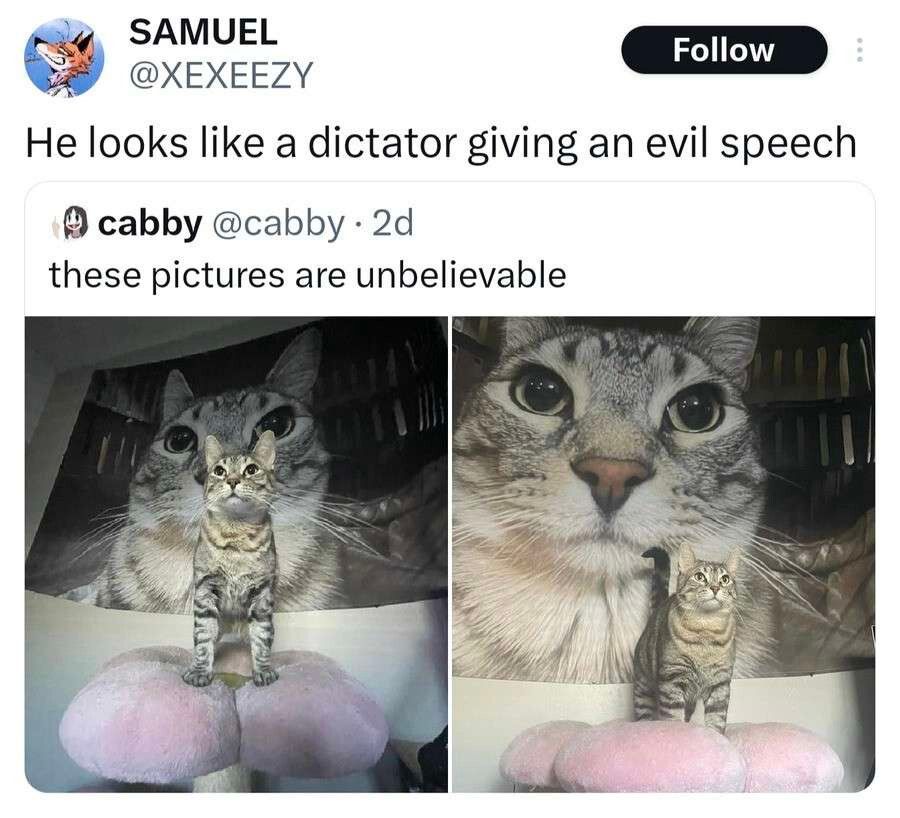 The Dark Lord Duddles: The Silly Kitty