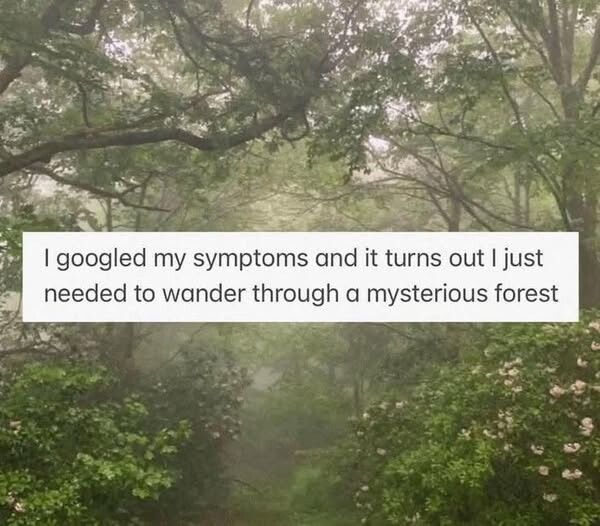 BRB, gonna take a shit in a fairy ring