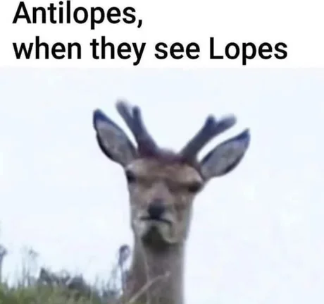 lopes