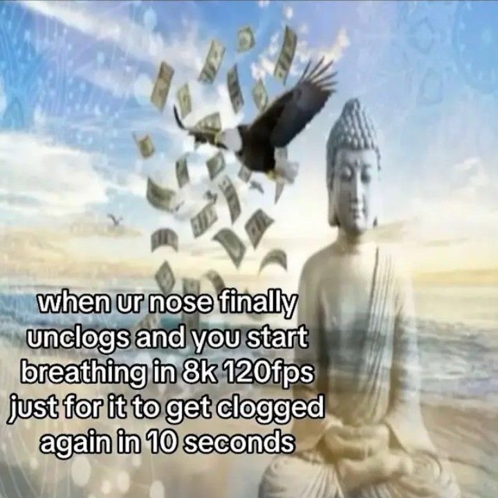 Fun fact: if your nose is clogged, do 10 pushups. It'll unclog it for a while :)