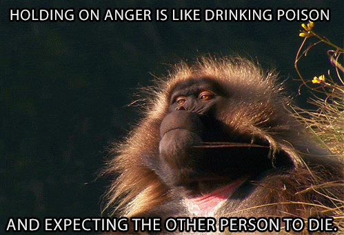 Zen Master Orangutan