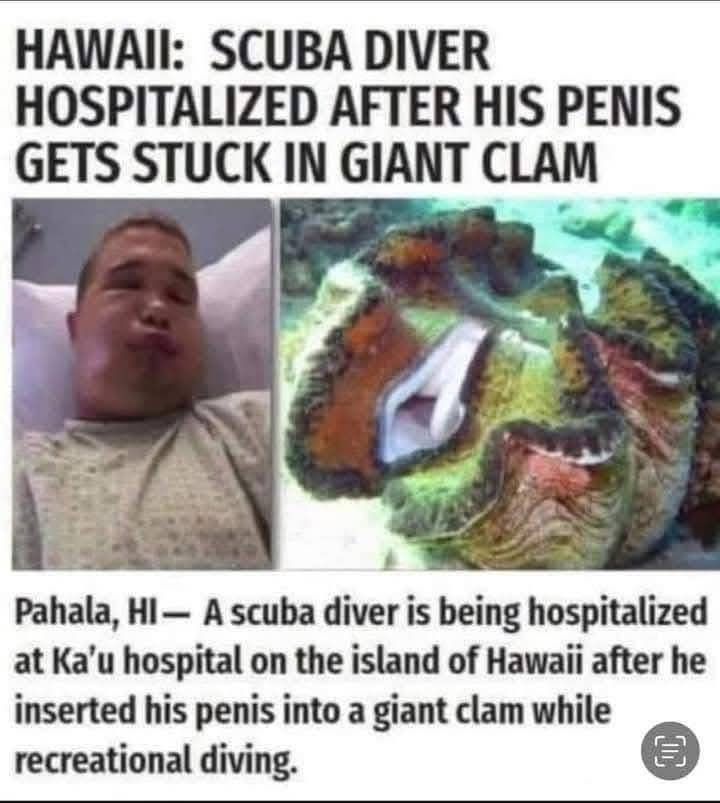 Hl users had a busy week