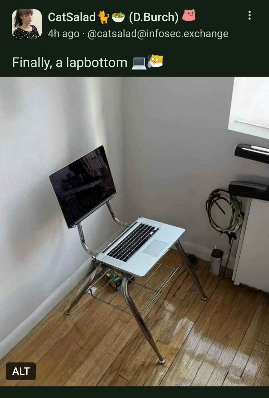 Perfect for shitposting